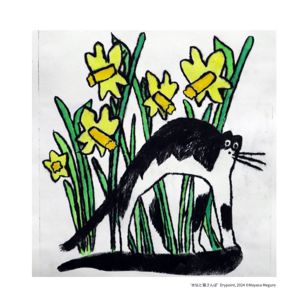 ‘水仙と猫さんぽ／Daffodil and Cat Walk’ Drypoint, 2024 ©️Mayaca Meguro